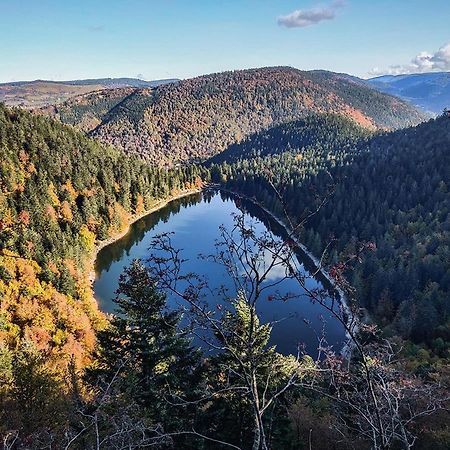 Grand'Roche Lägenhet Cornimont Exteriör bild