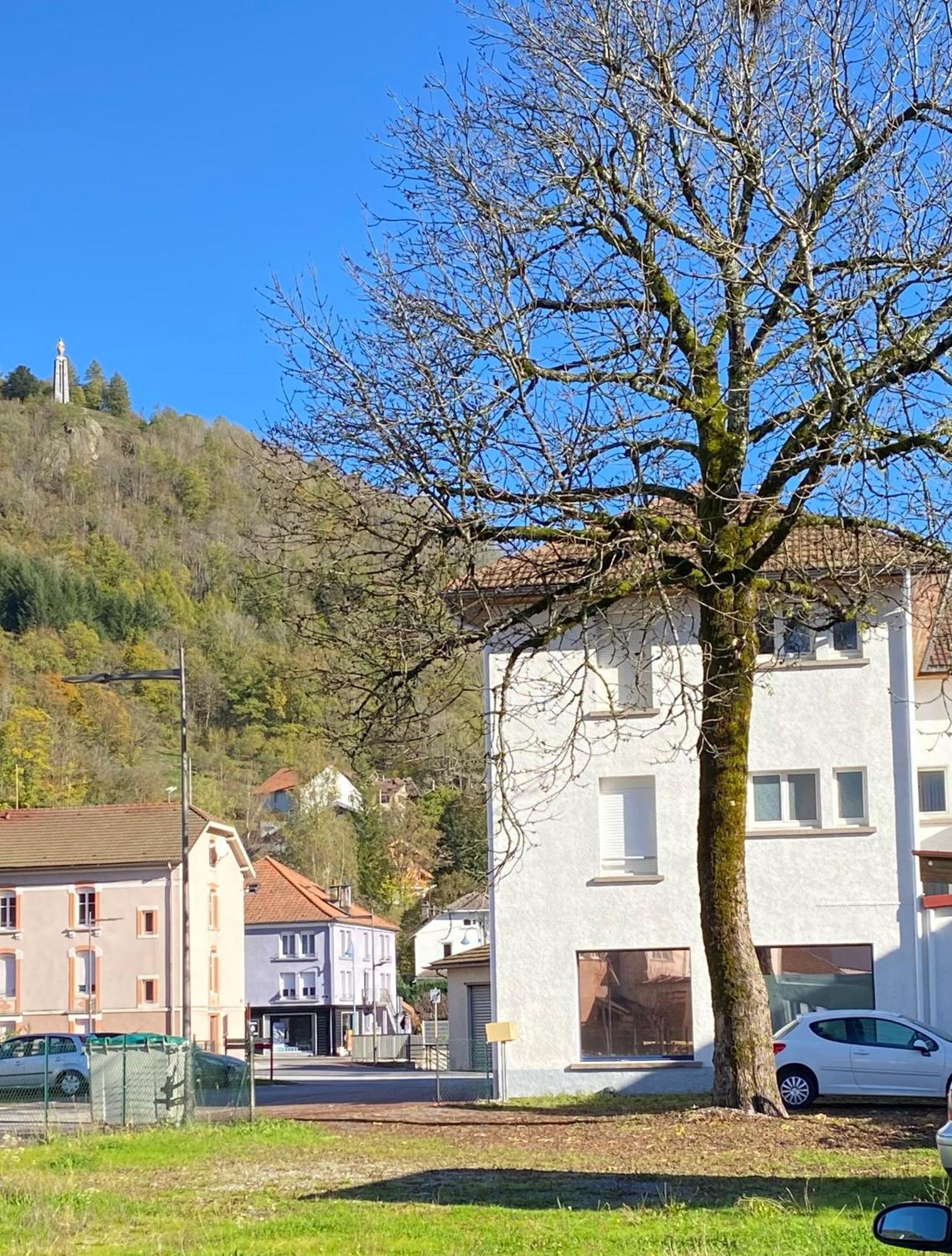 Grand'Roche Lägenhet Cornimont Exteriör bild